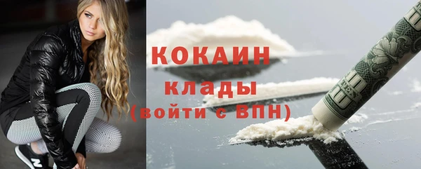 твердый Михайлов