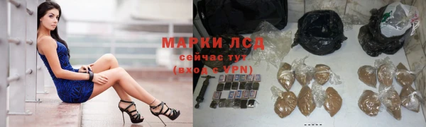 твердый Михайлов
