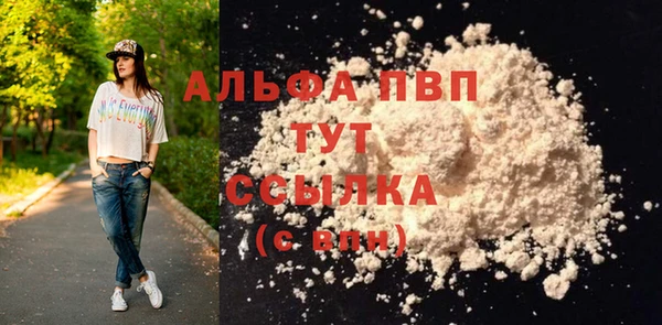 твердый Михайлов