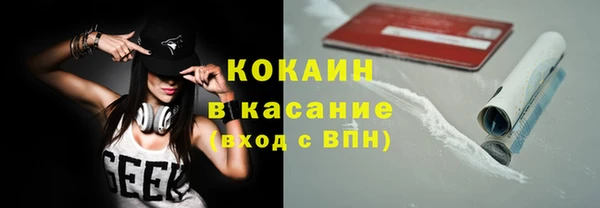 прущие грибы Переславль-Залесский