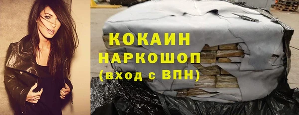 твердый Михайлов