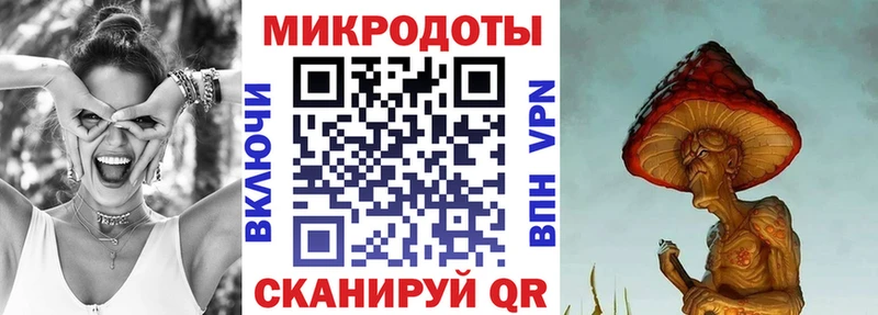 Галлюциногенные грибы Psilocybine cubensis Урус-Мартан
