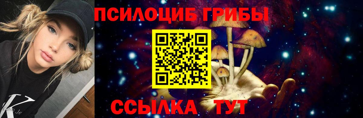 Урус-Мартан  Псилоцибиновые грибы Psilocybine cubensis  Вход с VPN 