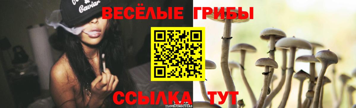 Галлюциногенные грибы мухоморы Урус-Мартан