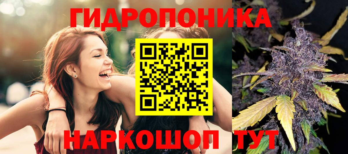 LSD-25 Урус-Мартан